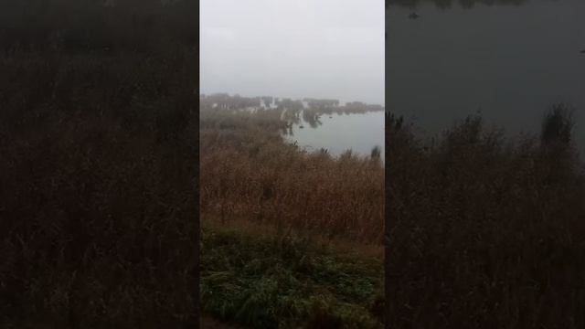 Маленькое путешествие смотреть онлайн