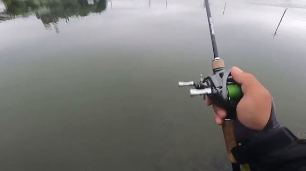 測試jackall pikupiku78 瀕死魚~