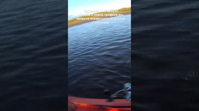 Килограммовый окунь смотреть онлайн