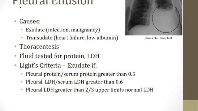 Inflammation Principles смотреть онлайн