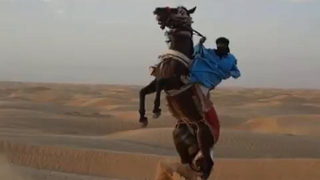 Саад ибн Абу Ваккас ( да будет доволен им Аллах) смотреть онлайн