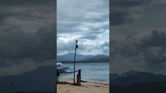 ЖИЗНЬ У МОРЯ смотреть онлайн