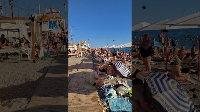 Прямая трансляция Лазаревское. Жизнь на море.2907 смотреть онлайн