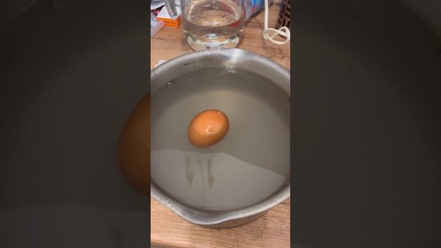 Денис Дружинин