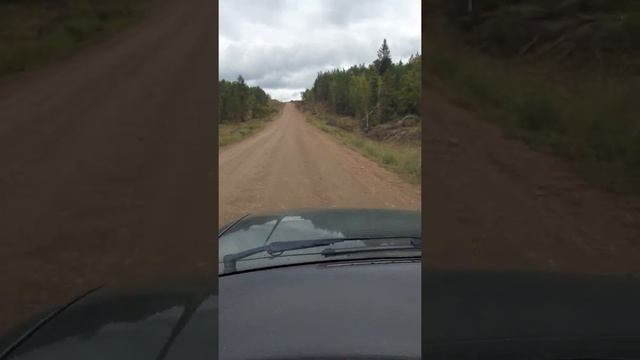 Святое место, по дороге в Усть-Алтан и Рассвет смотреть онлайн