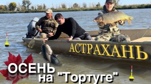 Такого клёва в Астрахани у меня ещё не было.