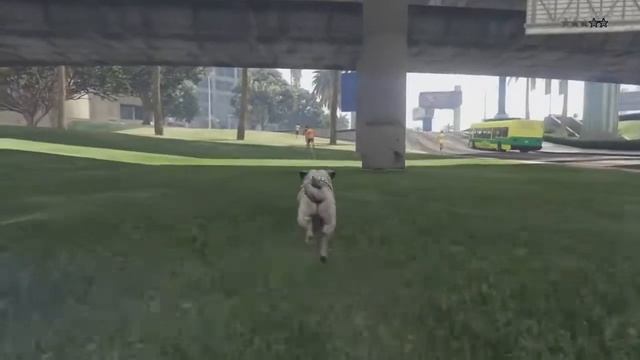 GTA V Next Gen: Heists & Hilarity - THE GTA ANIMAL SIMULATOR смотреть онлайн