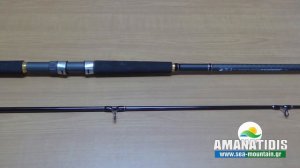 ΚΑΛΑΜΙ DAIWA LEGALIS SHORE JIGGING