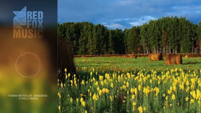 Роман Bestseller - Влюблены (CVPELLV Remix)