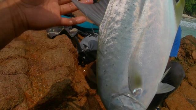 Amiskan Reel Daiwa crossfire Lt 1000 || Ultralight casting || Capung 702 смотреть онлайн