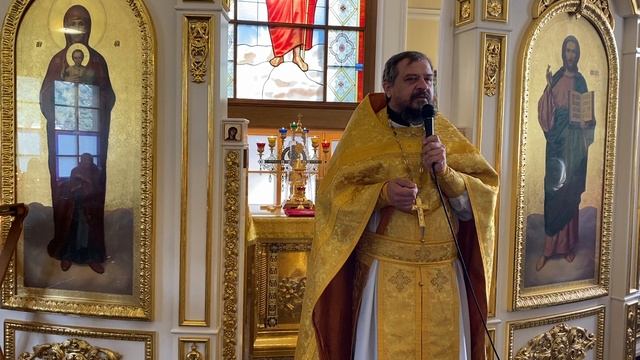 Воскресная проповедь на евангельское чтение. Священник Владимир Чебышев смотреть онлайн