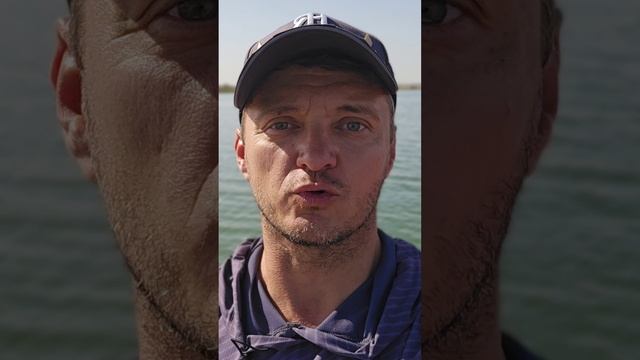 Выбор рабочей точки ловли хищника 💪💪💪 смотреть онлайн