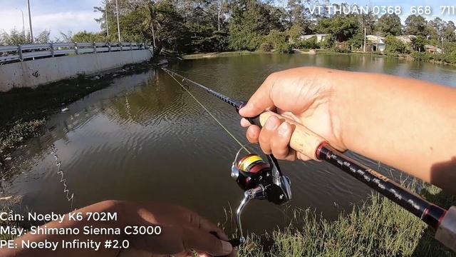 Combo lure 1.500k | Cần Noeby K6 và máy Shimano Sienna C3000, PE Noeby смотреть онлайн