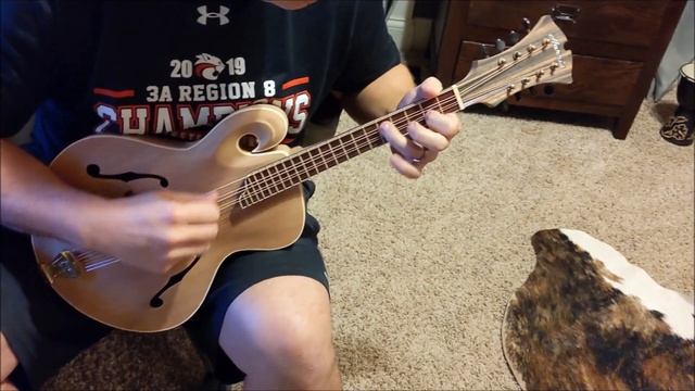 First Play of the Guitar Bodied Mandola смотреть онлайн