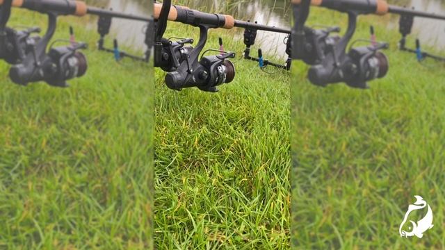 Carp Run COMPILATION 2020! PART 26!