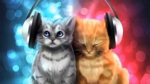 Музыка для кошек: кошачья музыка, чтобы помочь вашей подавленной кошке чувствовать себя лучше!