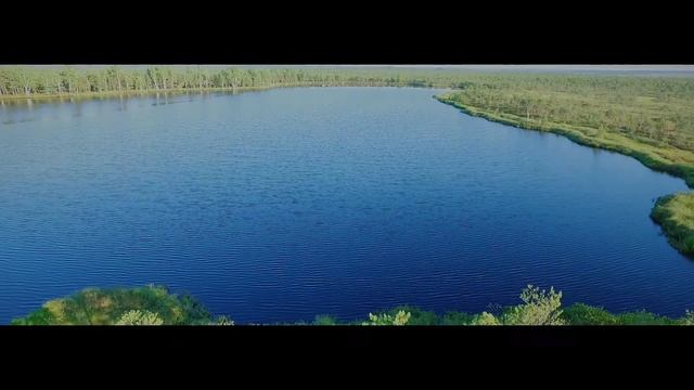 Багна - гід па балотах Беларусі смотреть онлайн