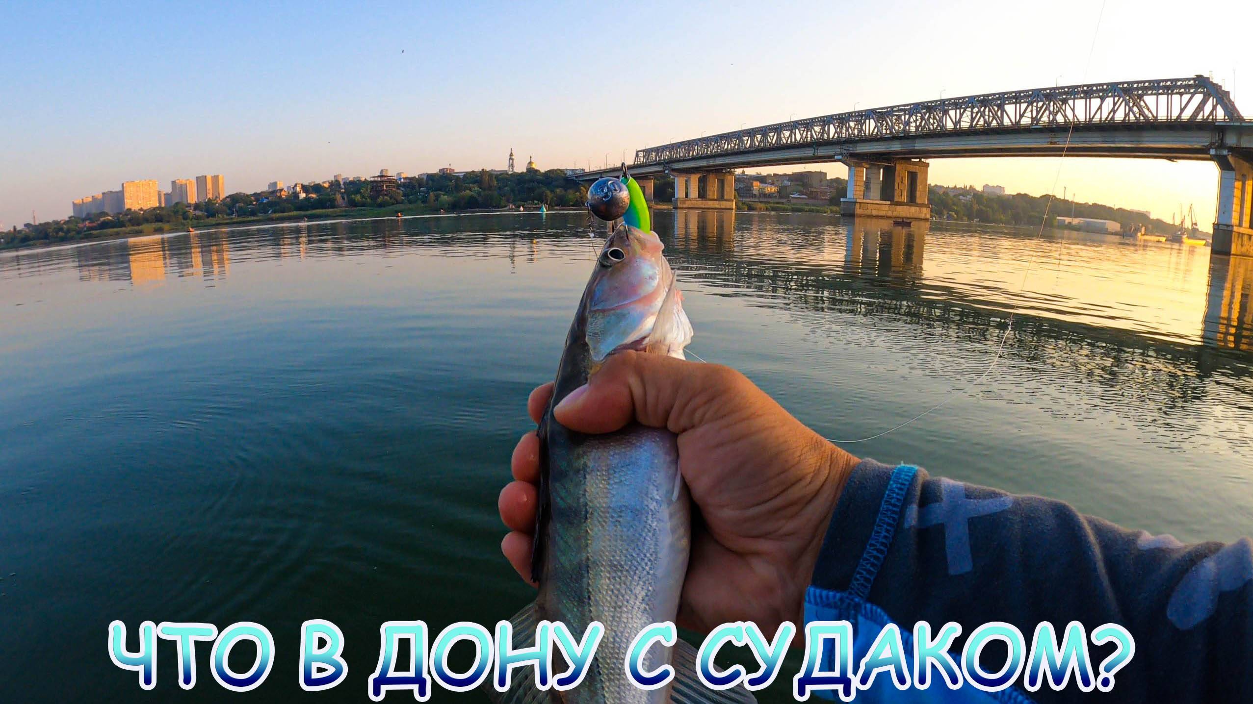 Что в Дону с СУДАКОМ? Пора проверять, постучать ему ДЖИГОМ по ЗУБАМ!!! смотреть онлайн