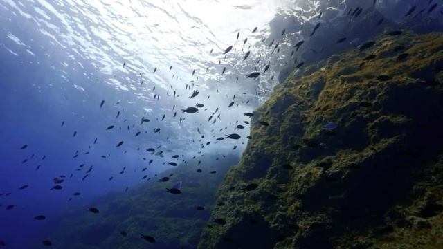 "Круг общения". 13 октября. Сегодня - лучший путь. Ежедневник для созависимых. смотреть онлайн