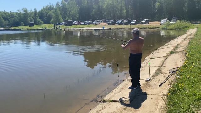 Вторая кряду поимка форели на стретч смотреть онлайн