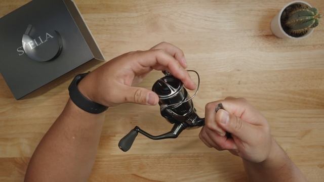 2022 Shimano Stella - The Ultimate Holy Grail Of Reels