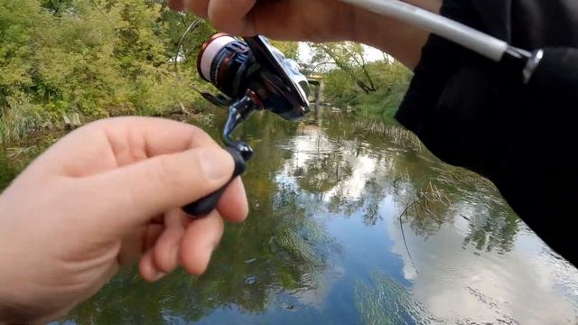 Avižadrebis - Mifine ILLIUSION SLASH XUL