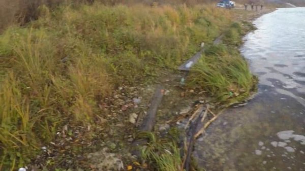 почему не клюёт судак?