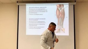 Эдгар Кафаров  - Мышцы верхней конечности _ Upper limb muscles