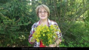 Мужская трава СУРЕПКА