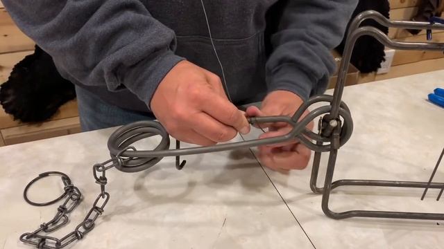 Dam Beaver Trapping Supplies "Tip Of The Week" - Conibear Safety Hooks смотреть онлайн
