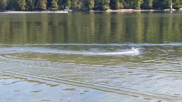 HJ808 Rc Speedboat In Salt Water 🚤