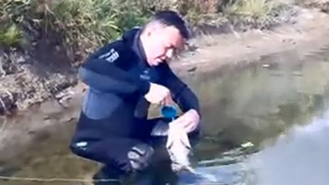 Зачетный жерех смотреть онлайн