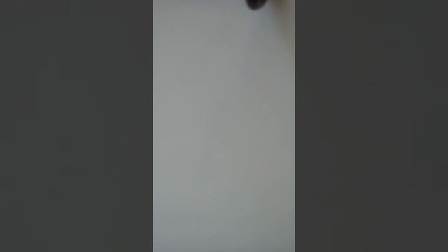 Очки как у лепса смотреть онлайн