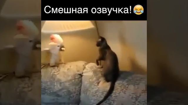 Классная озвучка смотреть онлайн