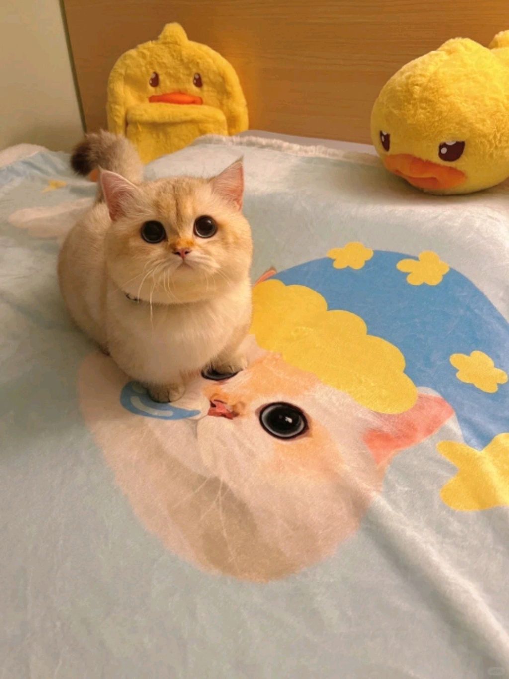 Laб смотреть онлайн