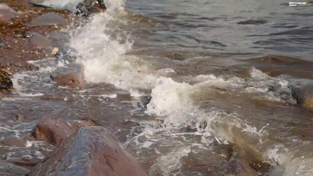 Henry Gilbey - The Complete Guide to Bass Fishing Episode 3, Shallow Reefs смотреть онлайн