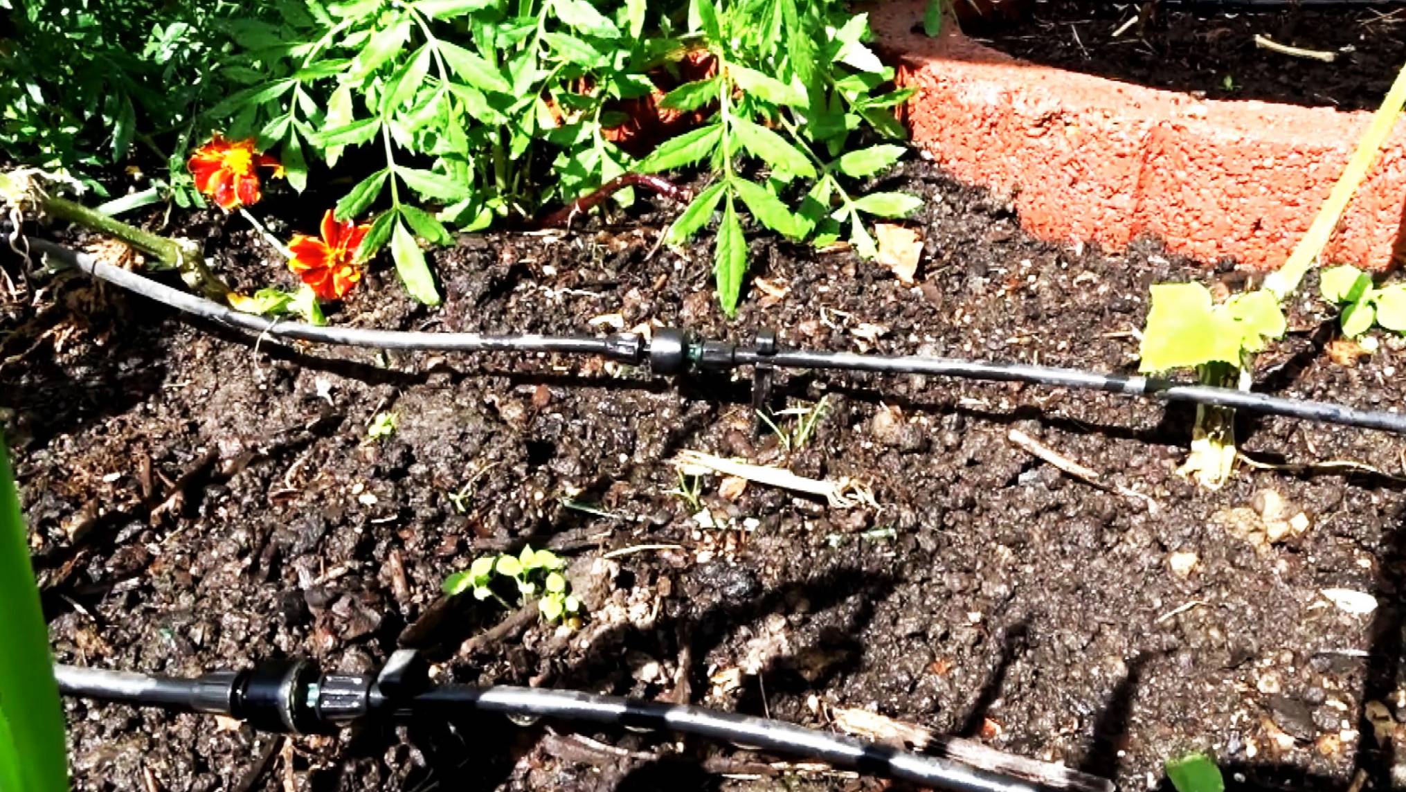 Капельный полив своими руками, авто полив, многоуровневая система полива сада, эффективный полив.