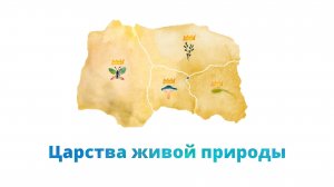 3. Царства живой природы