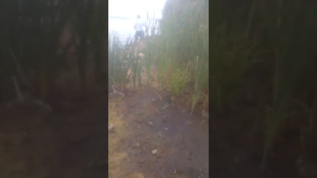 Ловим лягушек на ловушку смотреть онлайн