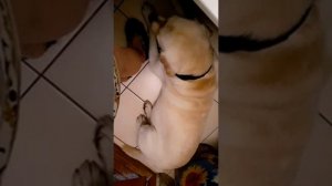 Хорошие моменты