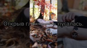 Фф про Драко Малфоя и Т/и «Обратный мир» 6 серия🐍💚