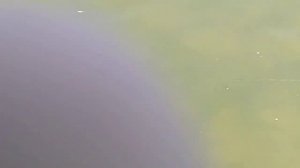 Обзор воблера Slender pointer bearking