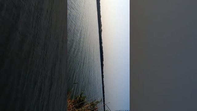 Трофейная рыбалка в Вилково смотреть онлайн