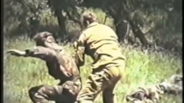 Система боевого выживания Кадочникова. смотреть онлайн