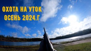 Охота на уток осень 2024.г
