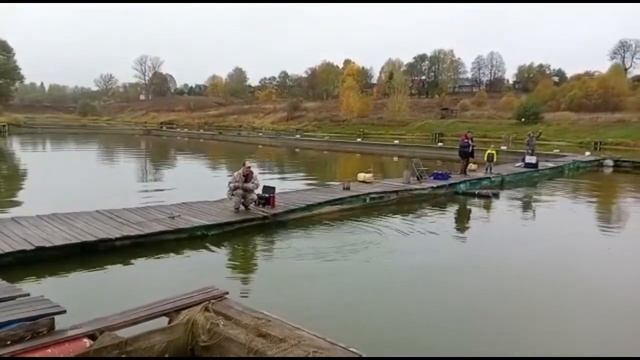 Сытый Кот смотреть онлайн