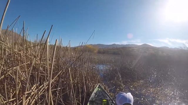 Winter Bass Fishing Lower Otay