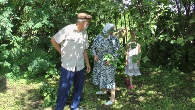 Репка ( ролик) смотреть онлайн
