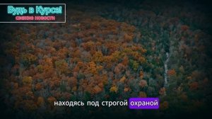 ВОТ И ВСЁ! Новое ПОКУШЕНИЕ на Андрея Белоусова! - "Кто ОНИ ТАКИЕ? И Каковы ПОСЛЕДСТВИЯ..."