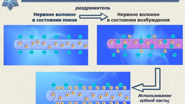 Тактика врача-стоматолога при гиперчувствительности зубов смотреть онлайн